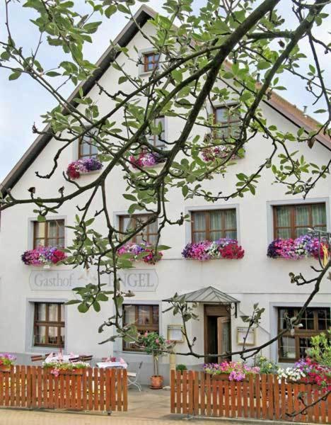 Hotel Restaurant Engel Pfaffenweiler ภายนอก รูปภาพ